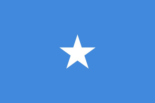 Somalias flagga